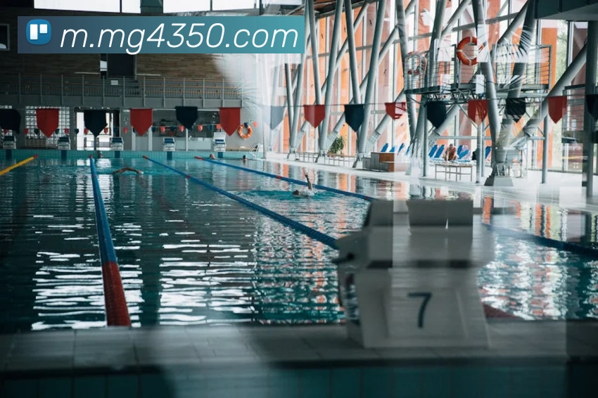 App Interface Preview